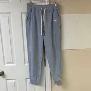 Abercrombie & Fitch Y2K Jogger Sweatpants Moose  Logo Light Blue